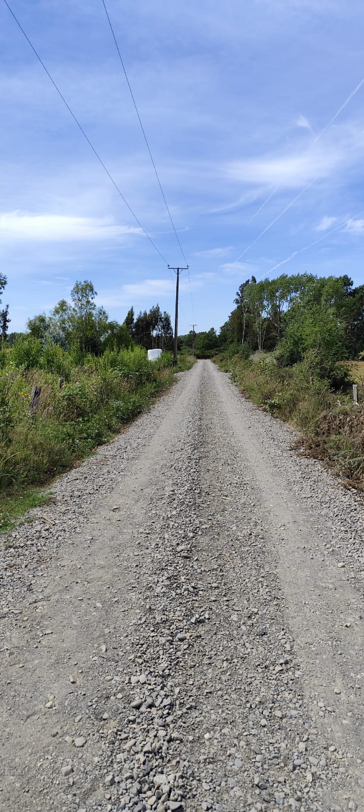 Camino de entrada
